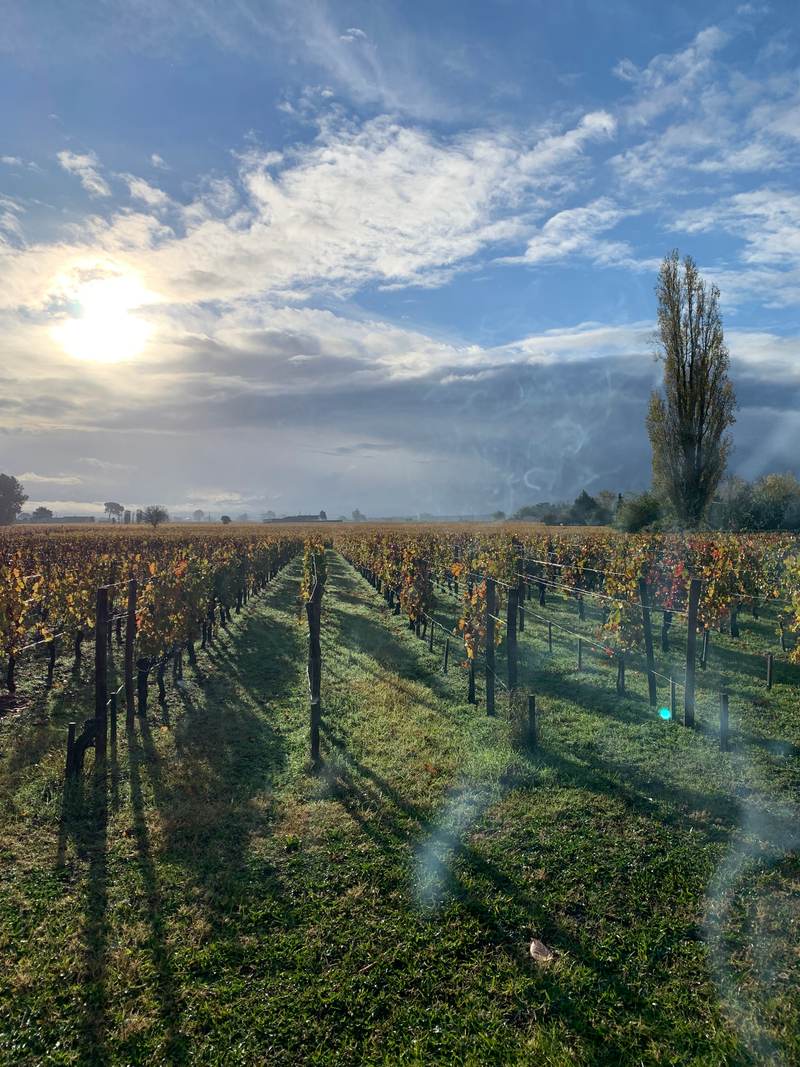 Château Mondorion - Saint-Émilion Grand Cru