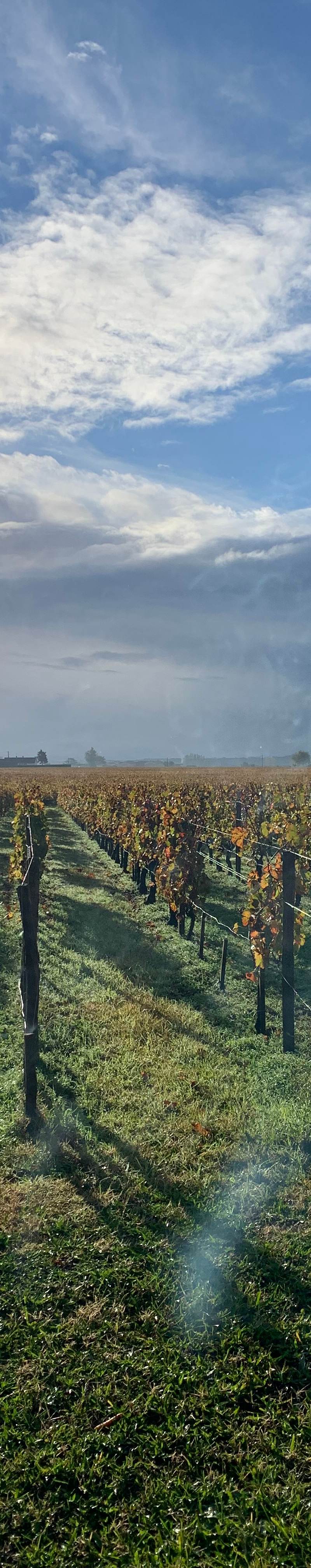 Château Mondorion — photo principale