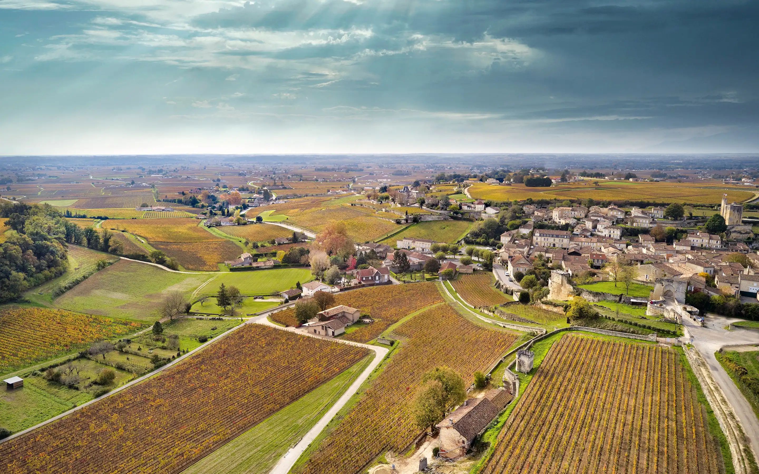 The Wines