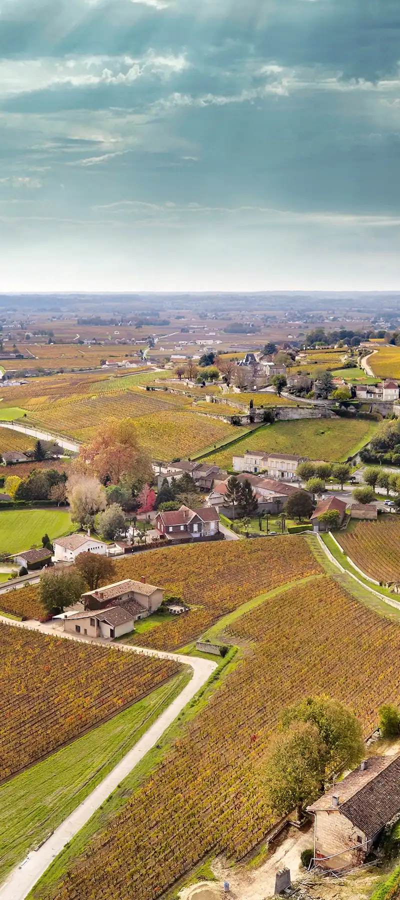 Château Vauthier Maziere - Saint-Émilion Grand Cru