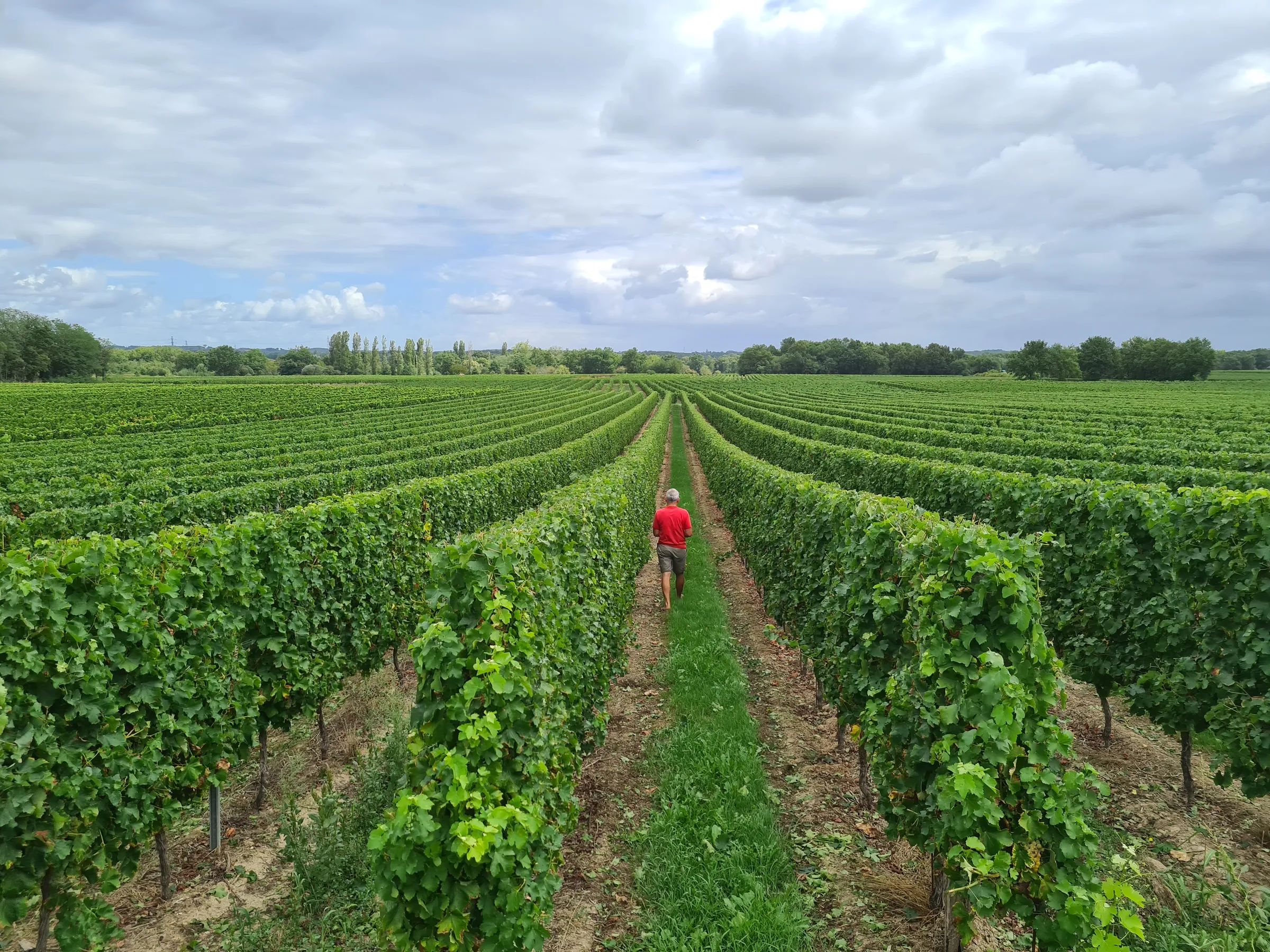 Château Gabard - Bordeaux Supérieur