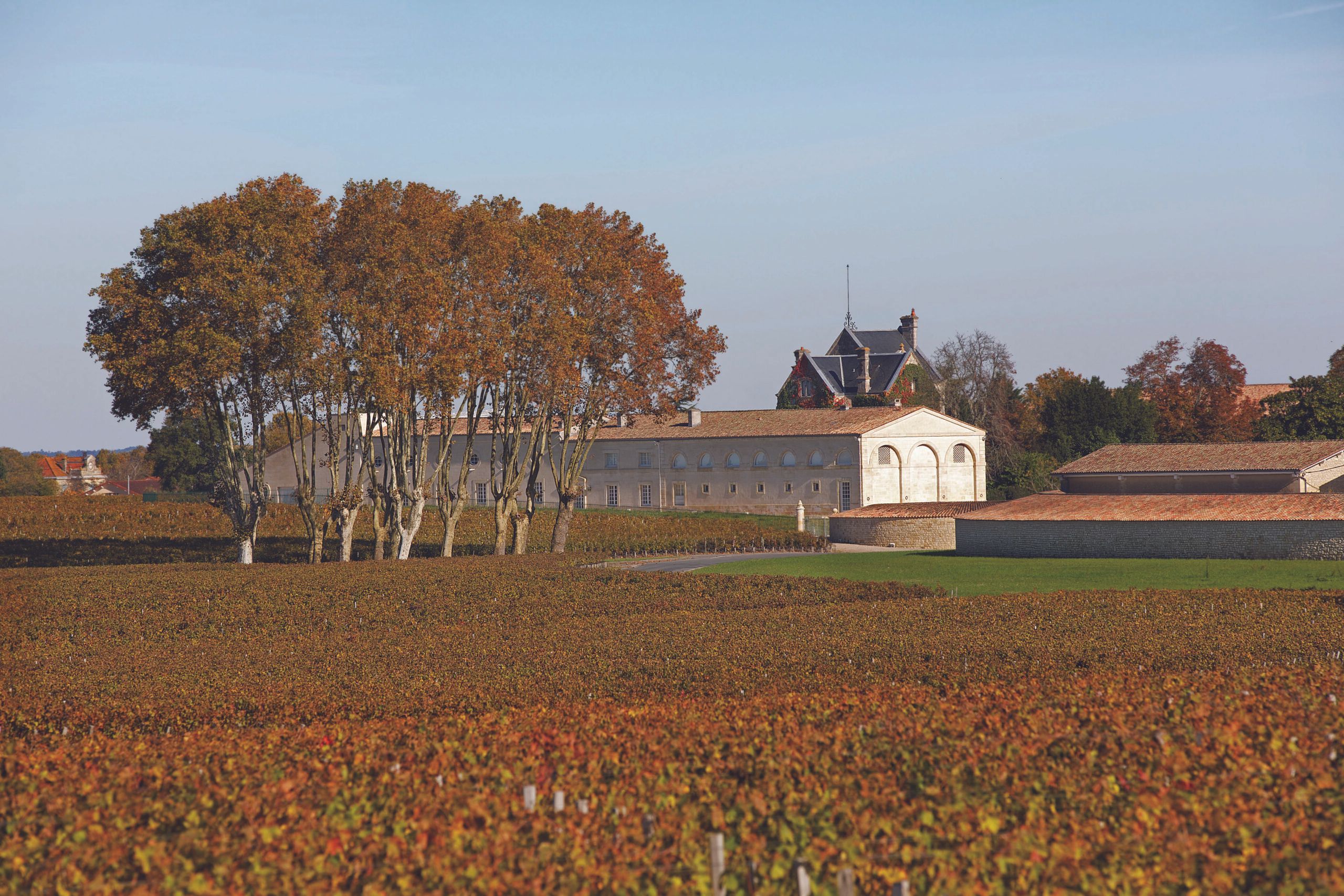 Château Mouton Rothschild - Pauillac