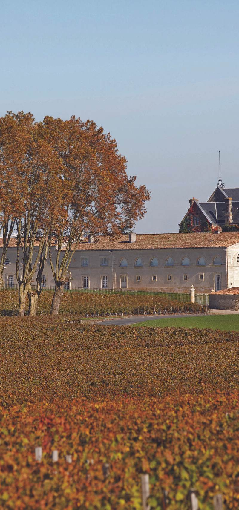 Château Mouton Rothschild - Pauillac