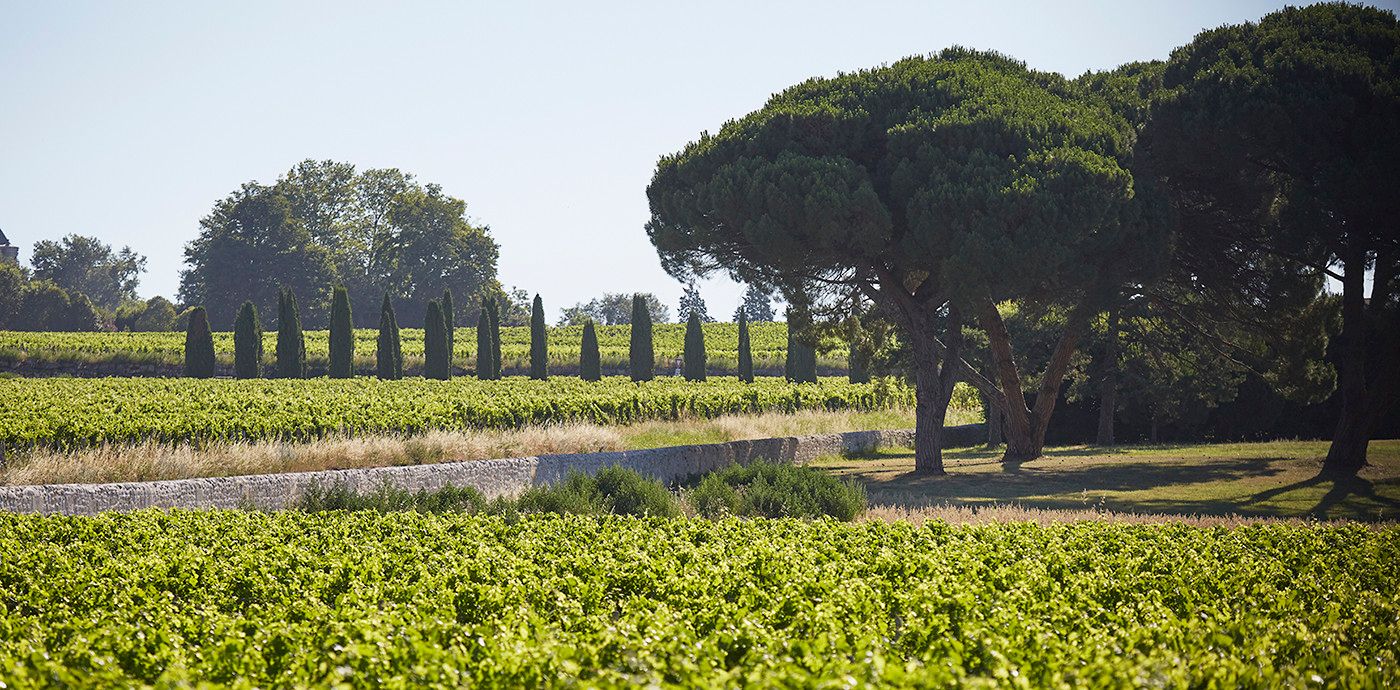 paysage de la petite Toscane
