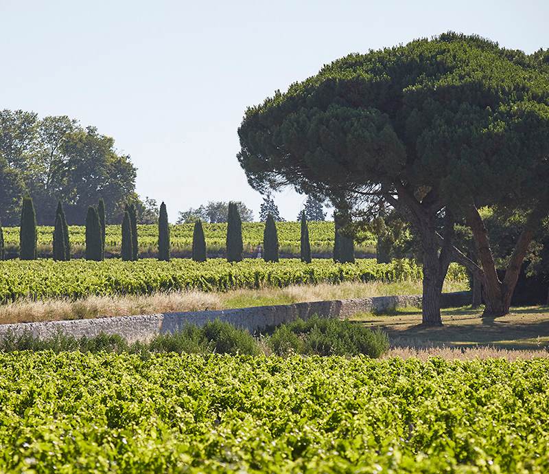 paysage de la petite Toscane