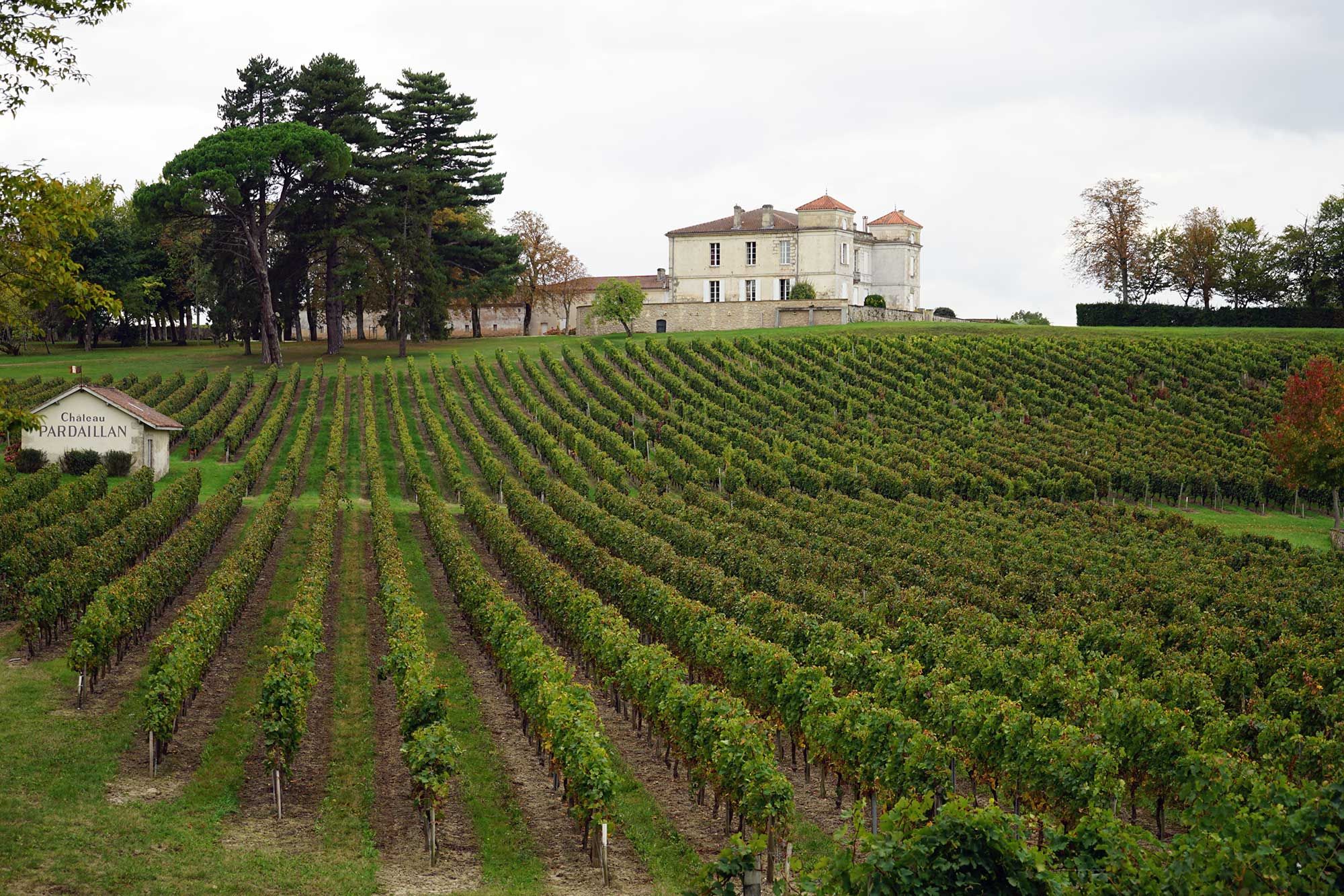 Château Pardaillan - Blaye Côtes de Bordeaux
