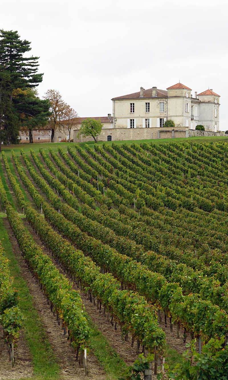 Château Pardaillan — photo principale