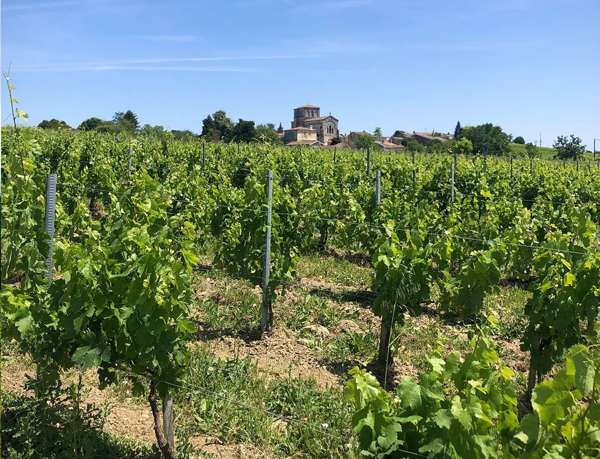 Domaine Duplessis (Bourg) - Côtes de Bourg