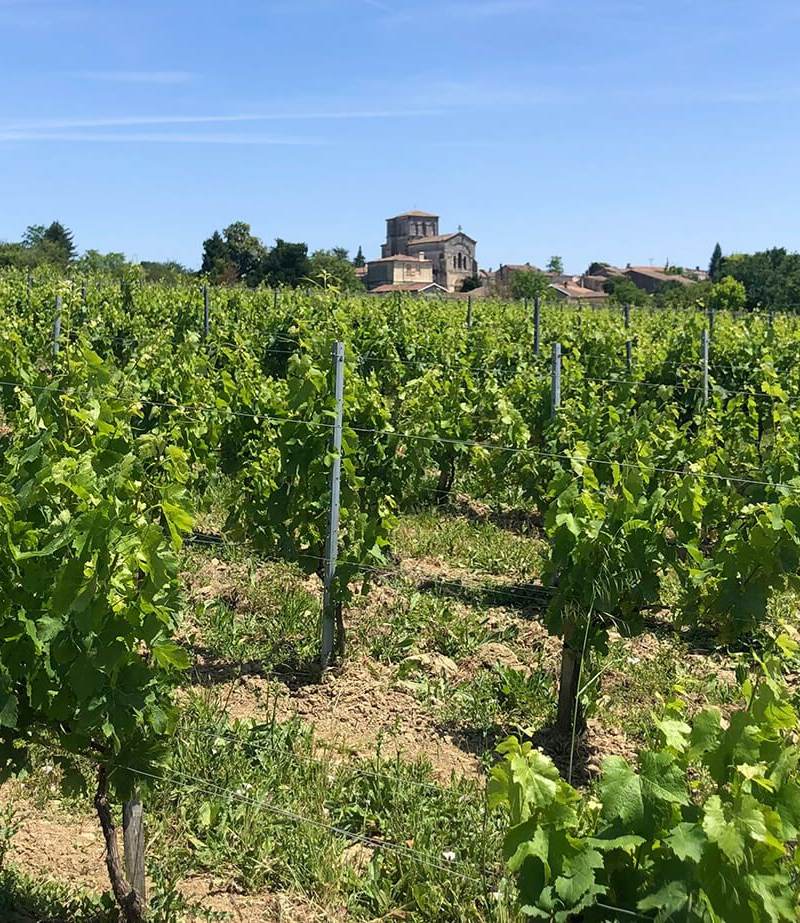 parcelles saint gervais