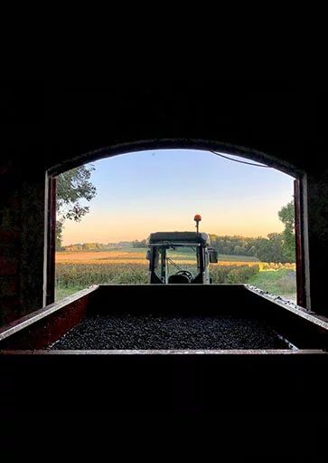 Domaine Duplessis (Bourg) — photo 4