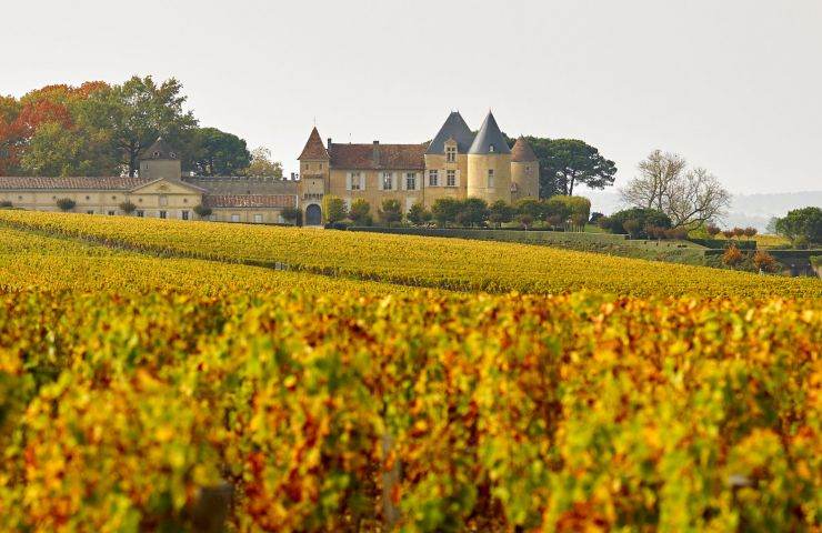 Château d'Yquem
