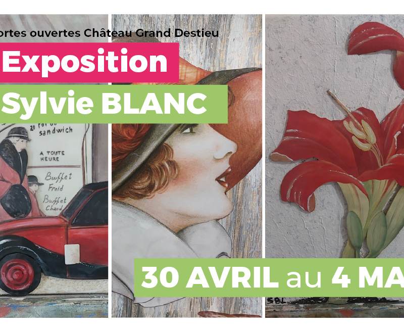 Exposition au Château Grand Destieu de Sylvie Blanc du 30 avril au 4 mai 2025