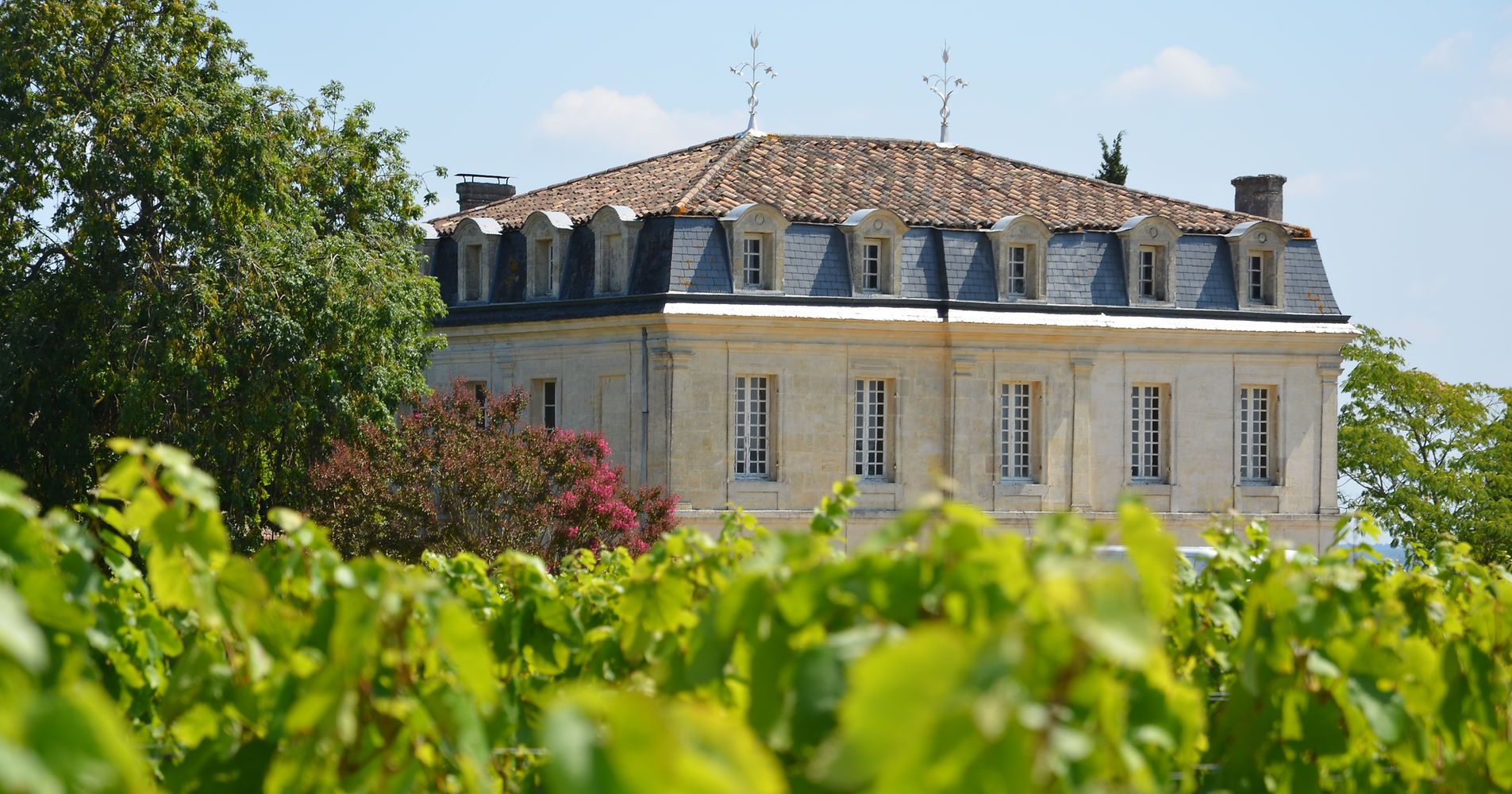 Château Puy Guilhem - Fronsac