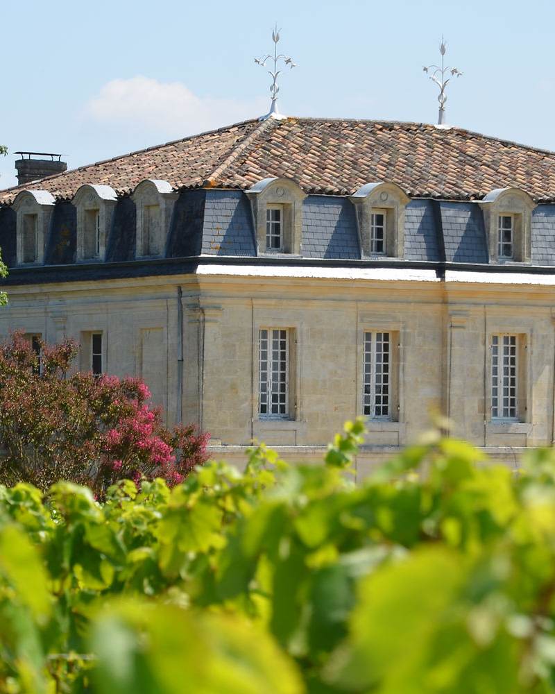 Château Puy Guilhem - Fronsac