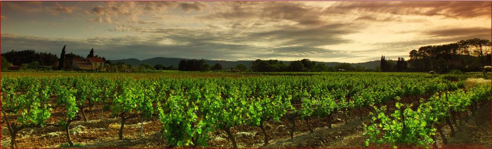 anim 1