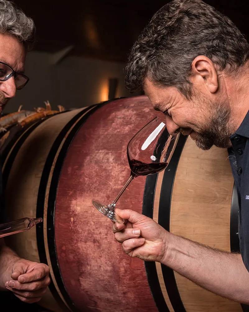 vignoble labuzan