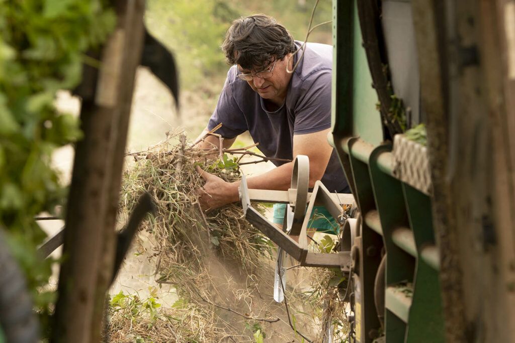 Château Jouvente — photo 4