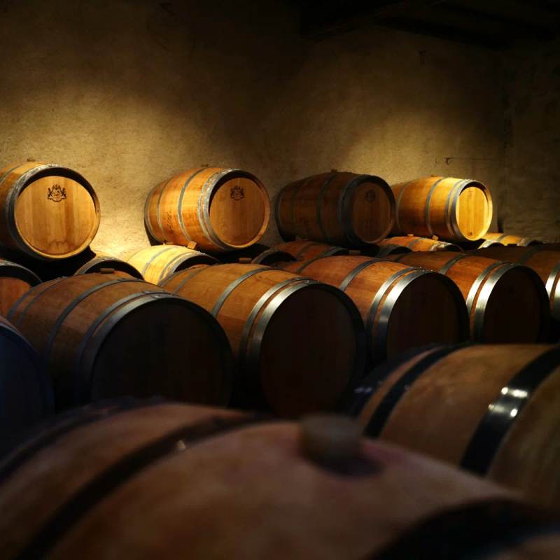 Château Farguet - Montagne-Saint-Émilion