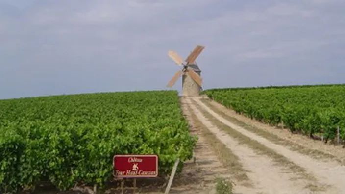 Château Tour Haut Caussan — photo 11