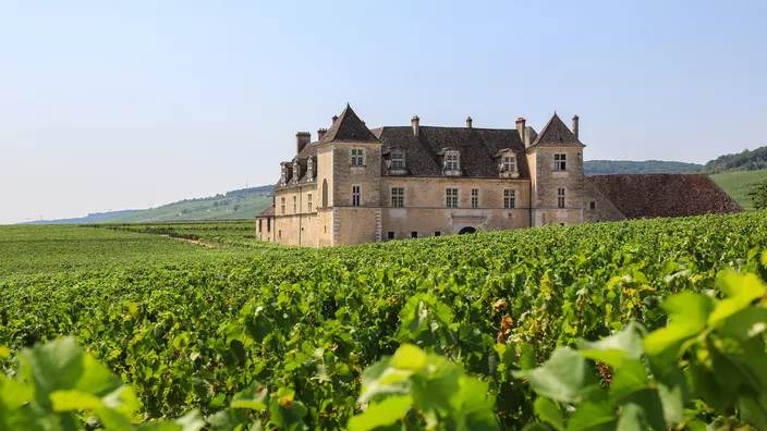 Château Margaux - Médoc