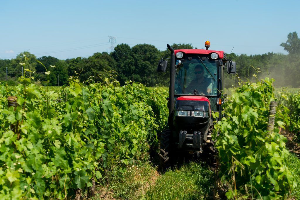 Viticulture - tracteur