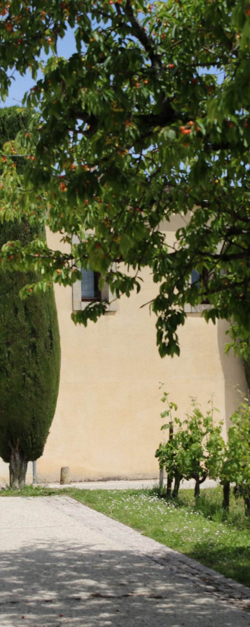 Château Cadet-Bon - Saint-Émilion