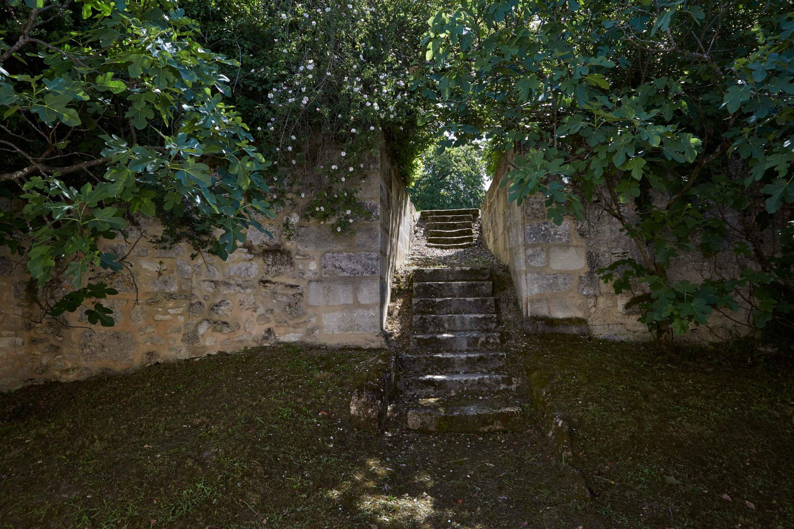 Château Bellevue — photo 1