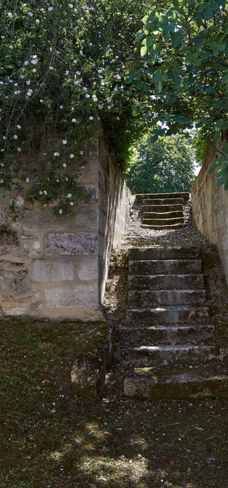 Château Bellevue — photo principale