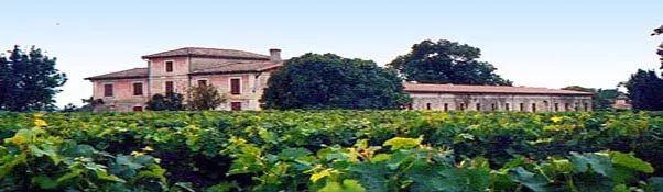 Château Grand Bourdieu - Bordeaux