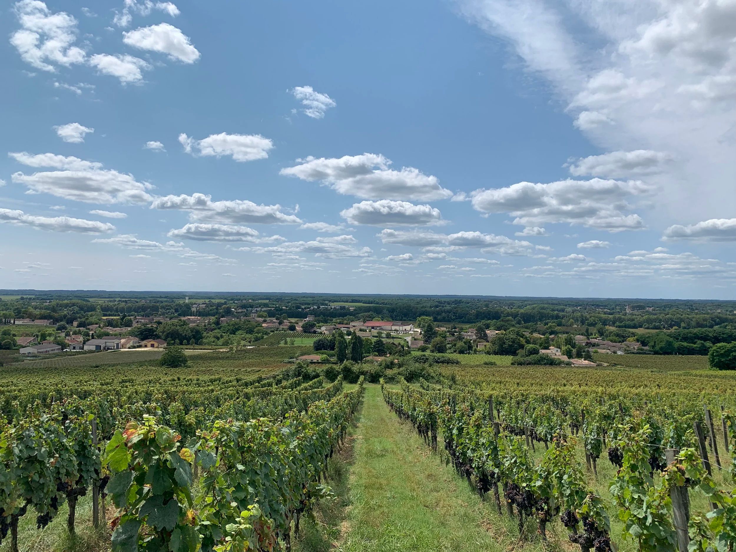 Château Petit Guillot — photo 10