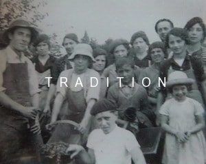 Un savoir-faire viticole familial