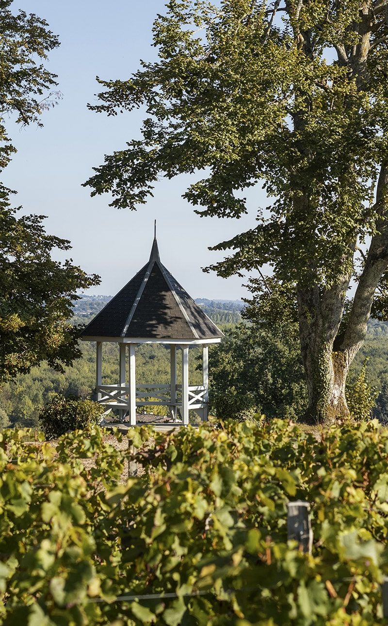 Château Dalem - Fronsac