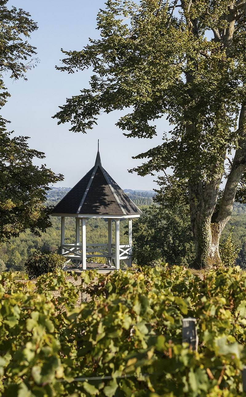 Château Dalem — photo principale