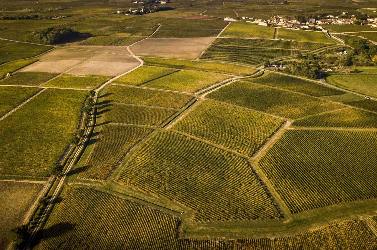 Producteur de vin Arcachon, Producteur de vin Bordeaux, Producteur de vin Gironde, Producteur de vin Médoc, Vente directe…