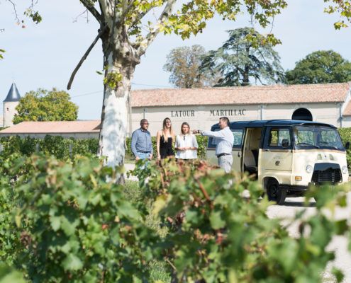 Château Latour-Martillac — photo 5