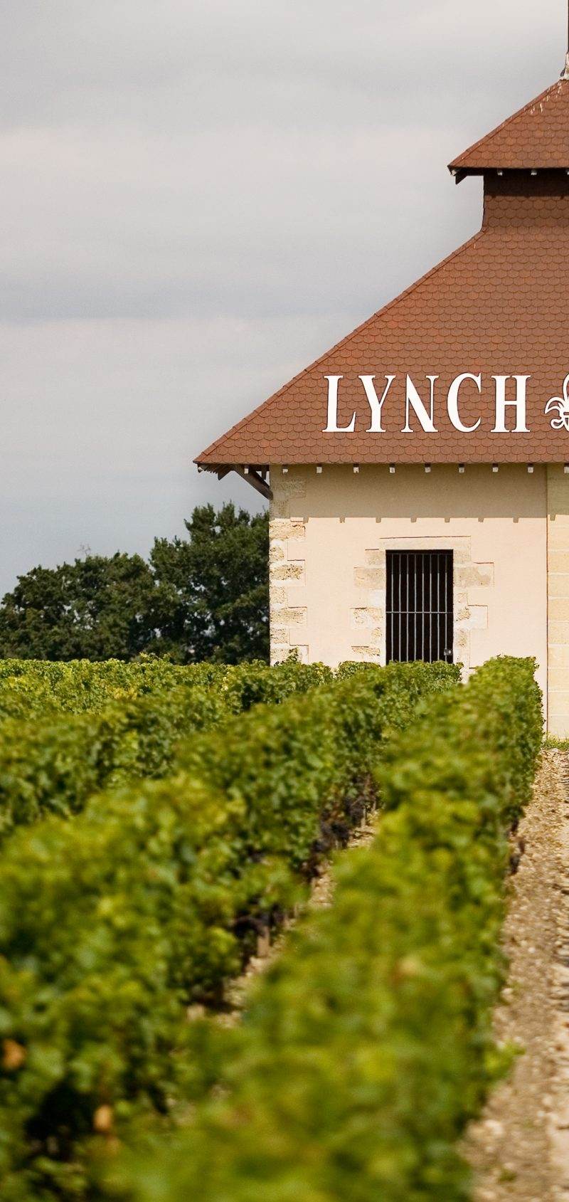 Château Lynch-Bages - Pauillac
