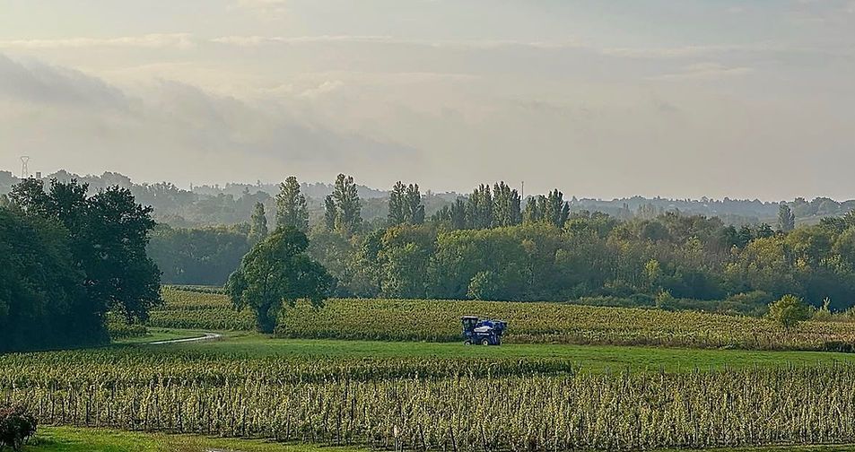 Château de Brague - Bordeaux Supérieur