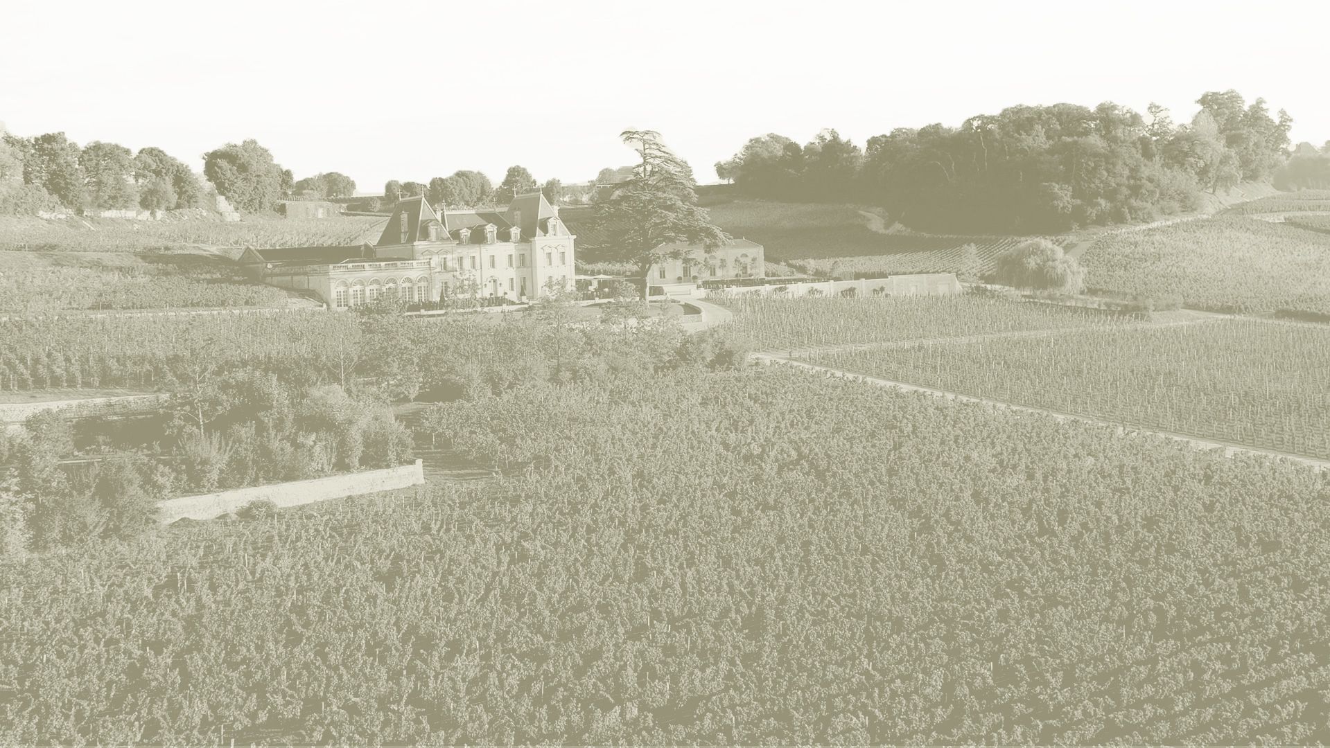 Château l'Enclos Pomerol — photo 1