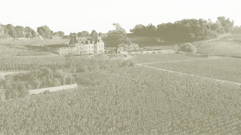 Château l'Enclos Pomerol - Pomerol