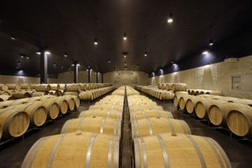 Visite Vins et Fromages de pays