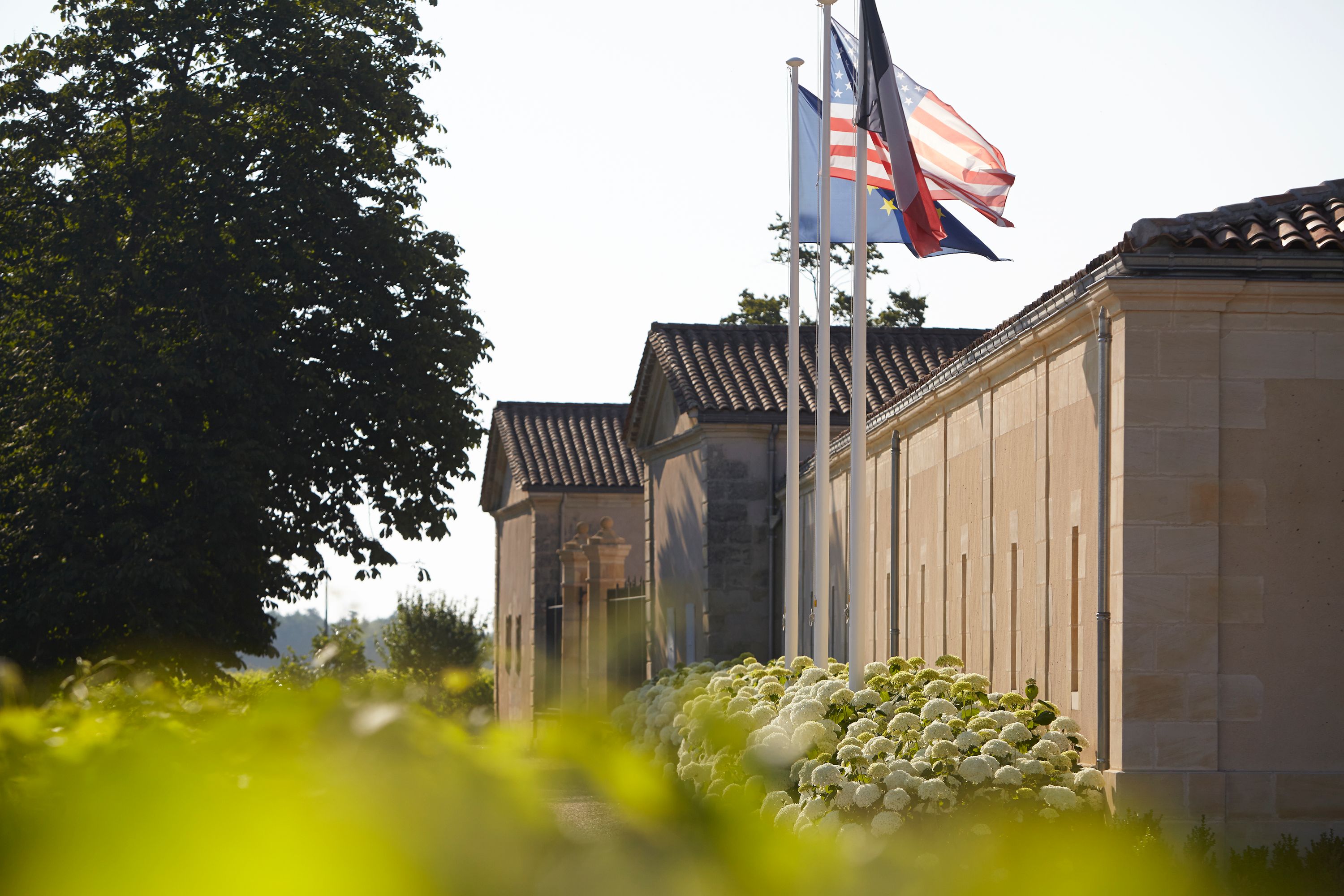 Château Corbin - Saint-Émilion Grand Cru