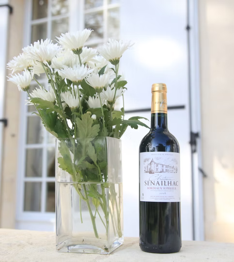 Chateau Senailhac