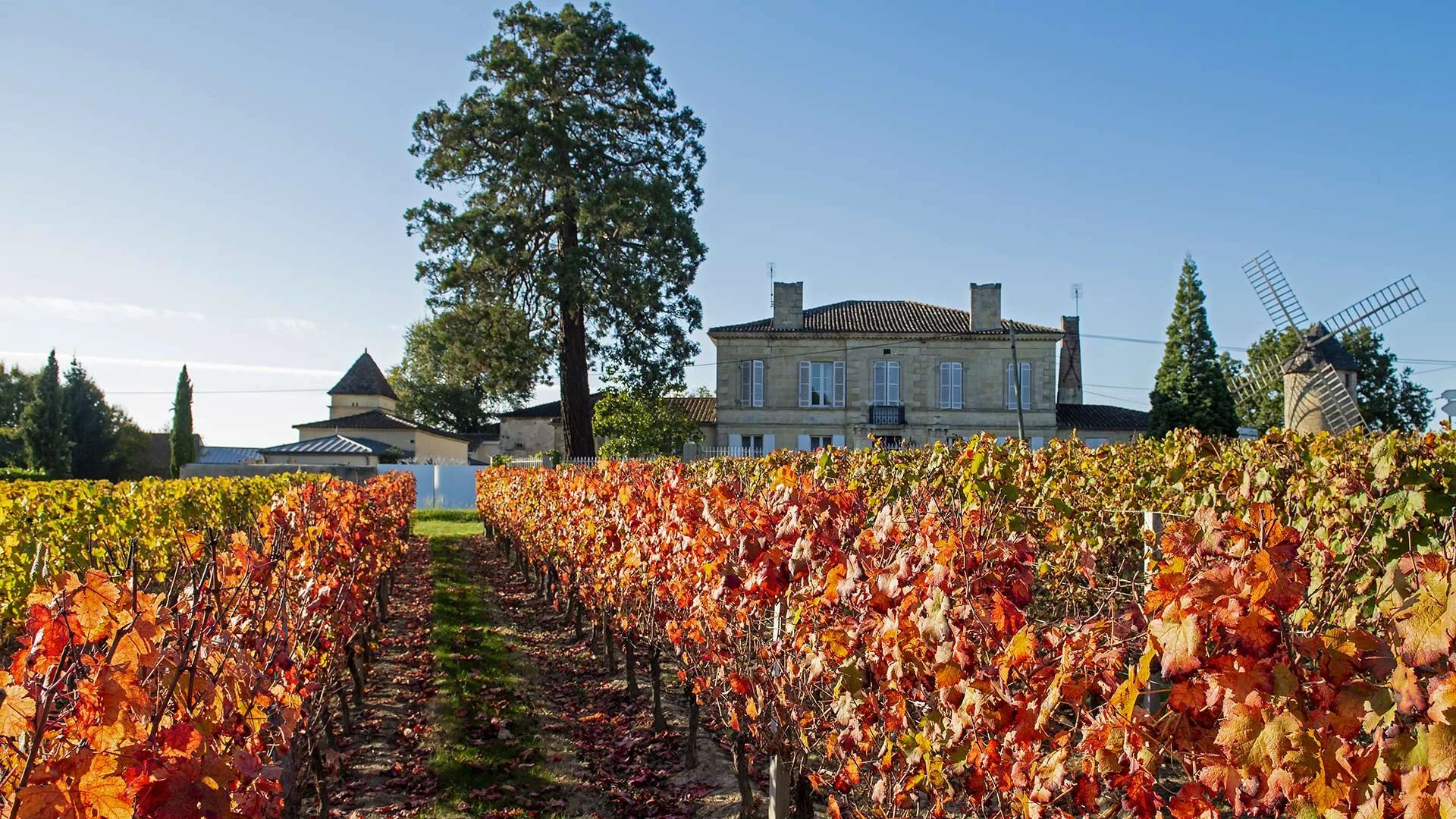 Château de l'Orangerie - Bordeaux
