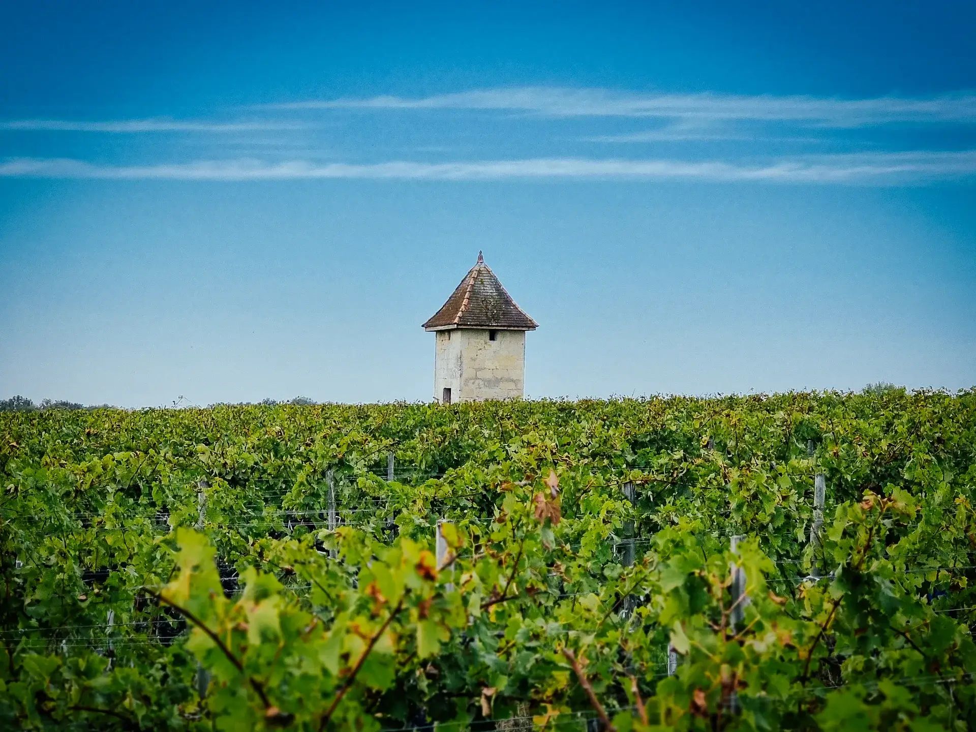 Château Boyd-Cantenac — photo 9