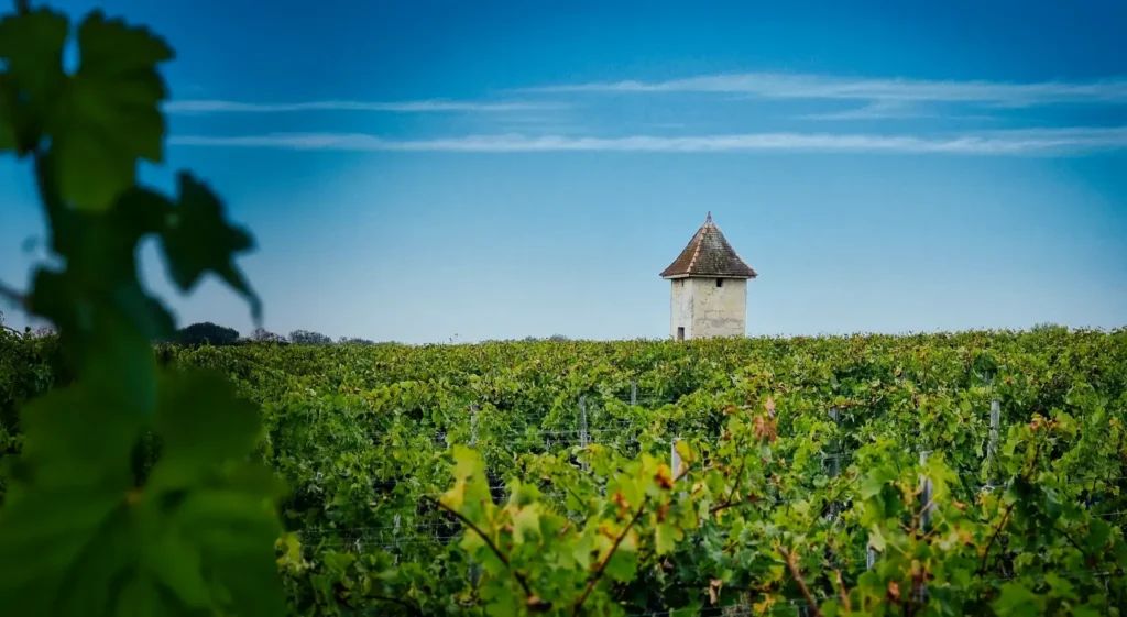 Château Boyd-Cantenac - Margaux