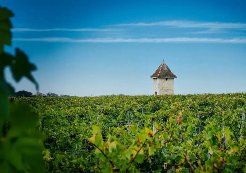Vue sur la Tour - pigeonnier