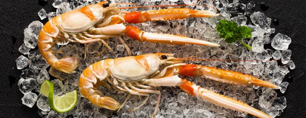 Château la Grande Clotte — photo 8