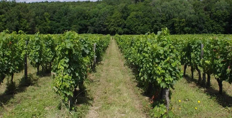 Château Le Jaugueret