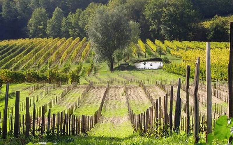 Château Le Jaugueret