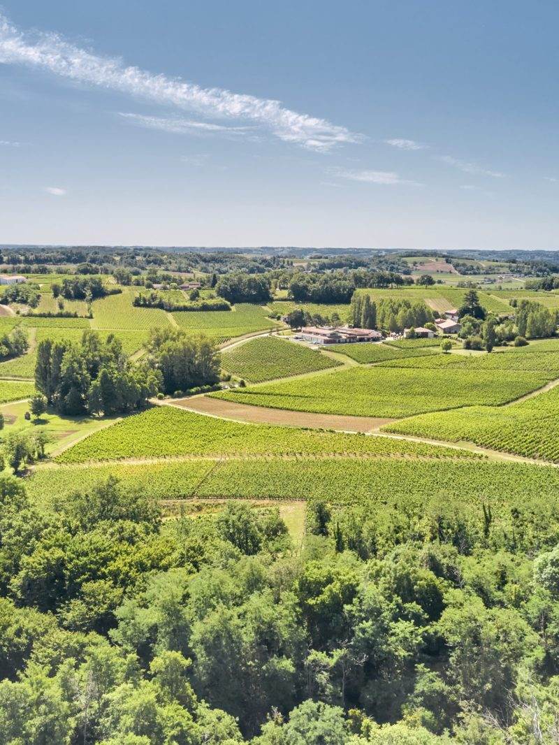 Château Fleur Cardinale - Saint-Émilion Grand Cru